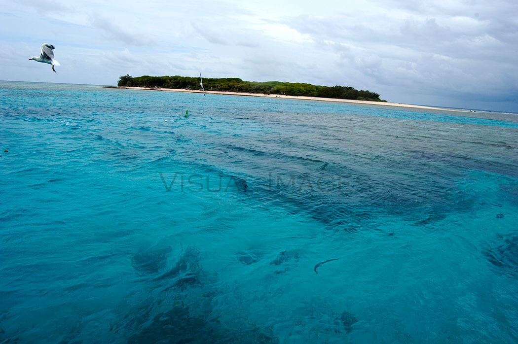 20121224 Lady Musgrave Island