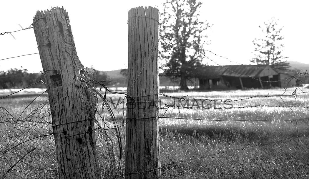 Texas Fence Shed 2015